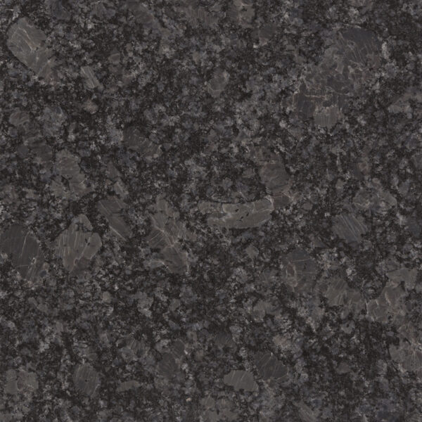 Gray-Pearl